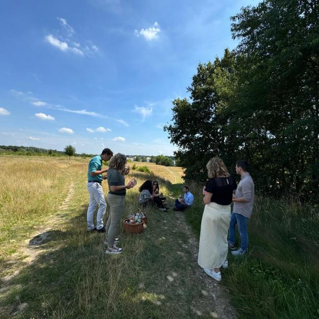 Picknick lunch in de zomer